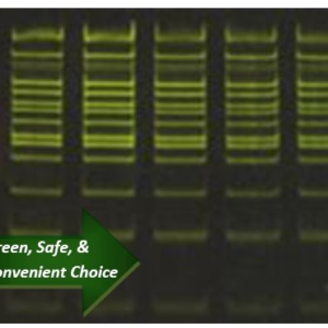 actegene dna safe dye pic 2 .webp