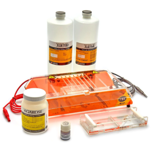 ib50000b labpal qsh dual.webp