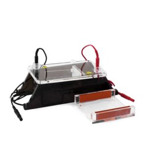 ibi scientific mini gel o horizontal electrophoresis system