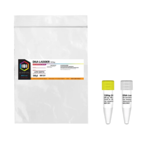 ibi scientific 100bp dna ladder 500ul